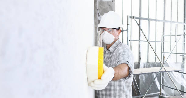 Best Post-Construction Mold Inspection  in Balm, FL