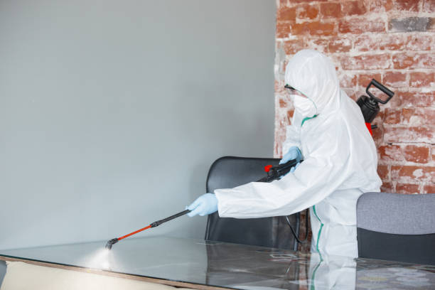 Best Asbestos and Lead Testing During Mold Inspection  in Balm, FL