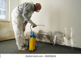 Best Commercial Mold Inspection  in Balm, FL